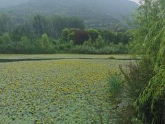 -田峪河公园