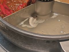 -巴奴毛肚火锅(二七万达店)