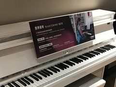 -雅歌音乐培训中心·钢琴培训·乐器培训(交道口店)