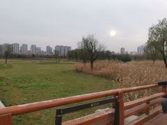 -汉长安城未央宫国家考古遗址公园