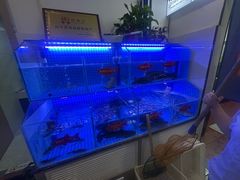 -鱼教头石泉老街石锅鱼(高新店)