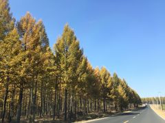 -塞罕坝国家级自然保护区