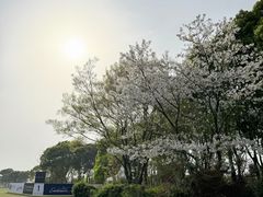 -颖奕安亭高尔夫俱乐部
