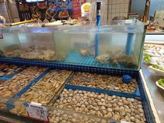 -鲜得莱渔港·小平岛海胆馆(七贤岭店)