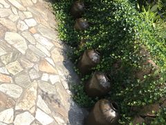 -看见远方·莫干遥远的山民宿