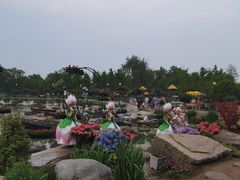 -荷兰花海
