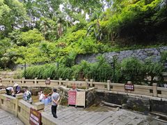 -白沙古井