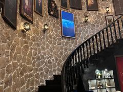 -雪灵魔法世界SHELLY’S TAROT(大良桂畔里店)