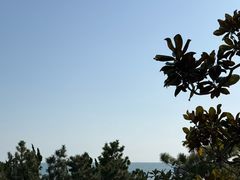 -青岛朗艺美术馆·海景咖啡