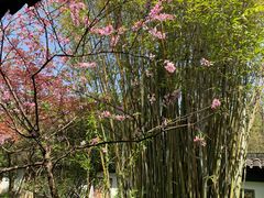 -木子山庄·安徽省老字号·中国炖锅宴