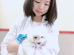 -艾贝尔宠物医院 ·内科全科(梁溪路店)