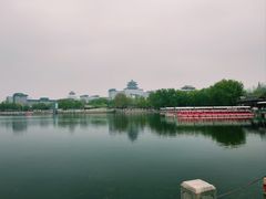 -莲花池公园