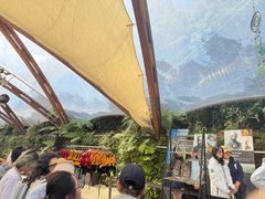 -怀托摩萤火虫洞