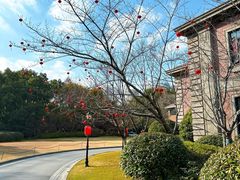 -上海瑞金洲际酒店