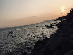 -深圳湾公园(南山区)