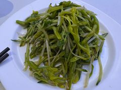 炝拌黄花菜-晋府大酒店