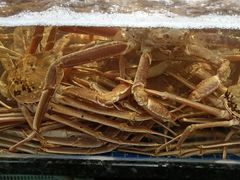 -东海怡品海鲜豆捞(星街坊店)