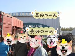 -韩家墅海吉星农产品批发市场