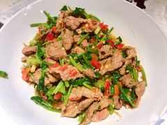 香菜炒牛肉-壹盏灯(蚂蚁工房店)