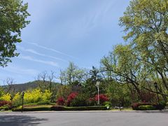 -棒棰岛宾馆景区