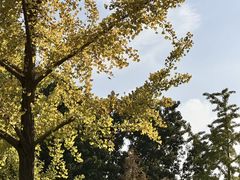 -郑州植物园