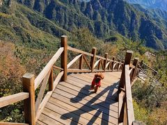 -大岭沟猕猴桃谷风景区
