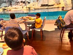 -帝企鹅自助餐厅•儿童岛•真企鹅(长隆企鹅酒店)