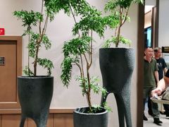 -小船渔村•大连菜•大连焖鱼(黄河路店)