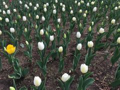 -长春公园(普阳街道)