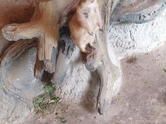 -北戴河集发农业梦想王国