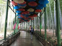 -陶祖圣境风景区