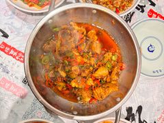 -壹盏灯(惠农店)