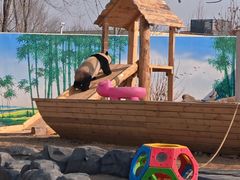 -秦皇岛野生动物园