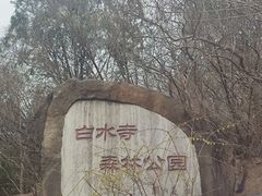 -白水寺森林公园