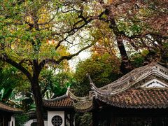 -秋霞圃