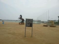 -碧海金沙