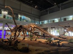-自贡恐龙博物馆