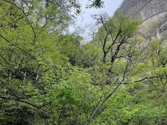 -洛阳白云山景区