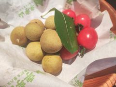 -季季山·云南野生菌火锅(上海首店)