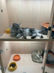 -Waof Park 淘气堡·儿童乐园(番禺天河城店)