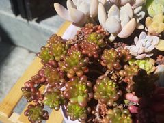-大理岛·精品云南菜·音乐餐厅