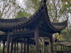 -上海佘山国家森林公园天马山园