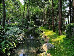 -成都市活水公园