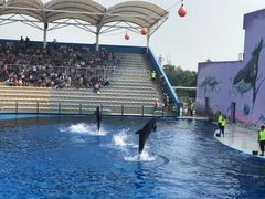 -北戴河圣蓝海洋公园