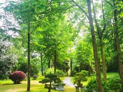 -杭州植物园