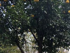 -长兴太湖图影湿地文化园