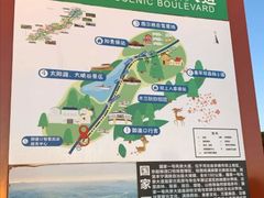 -御道口草原森林风景区