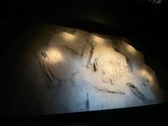 -侵华日军南京大屠杀遇难同胞纪念馆