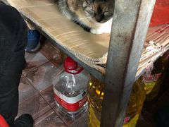 -老地方面馆(思南路店)