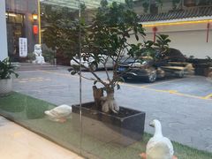 -静一·疆味小馆(黄河路店)